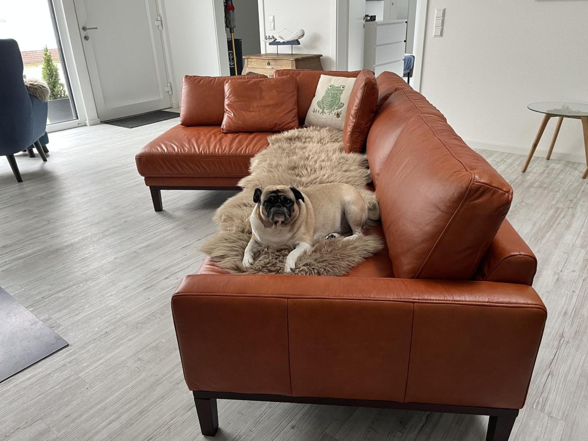 Ferienwohnung Nr 5 Wunstorf Bagian luar foto